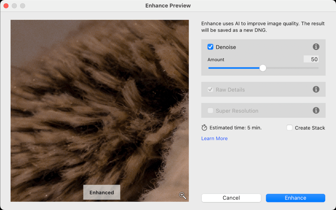 Lightroom's AI-Powered Denoise Feature: Denoise dialog panel