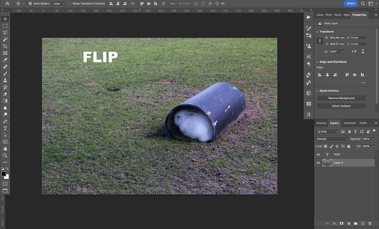 How to mirror an image in Photoshop