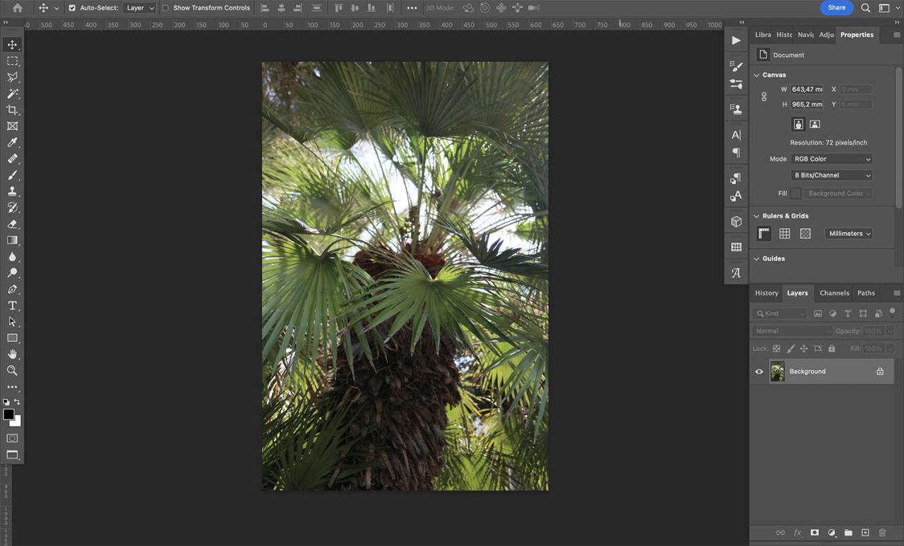 How to mirror an image in Photoshop