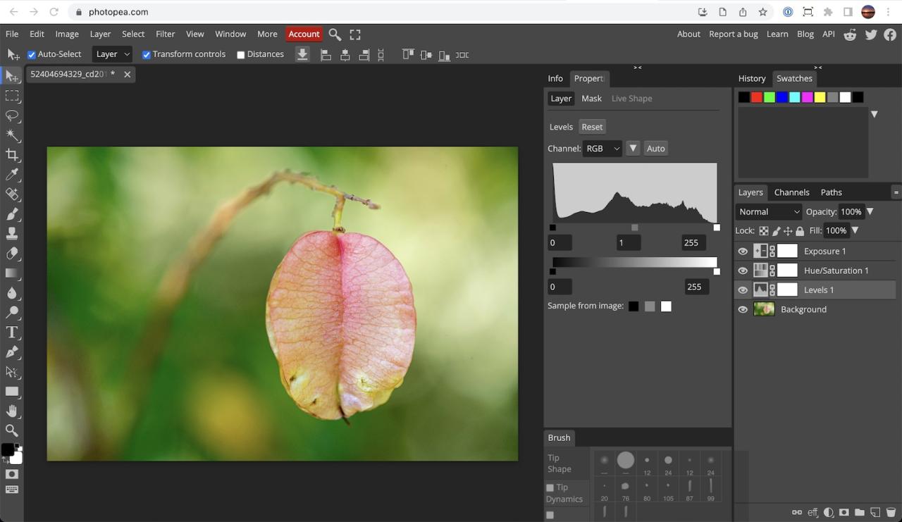 Best photo-editing software. Photopea.