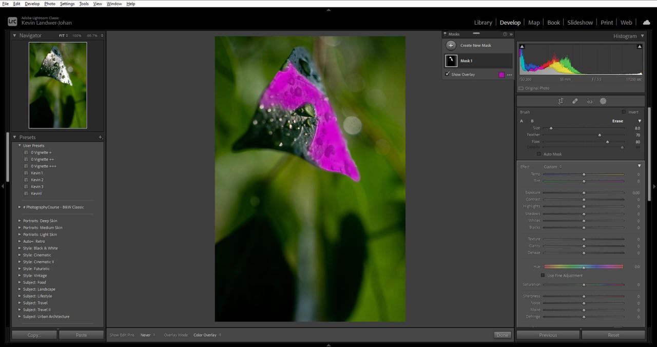 Brush use in Lightroom