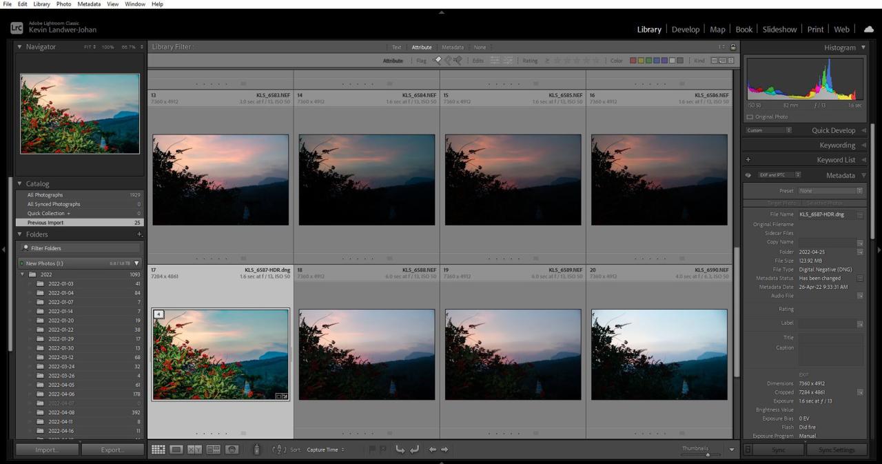 Grid view in Adobe Lightroom Lightroom vs Affinity Photo